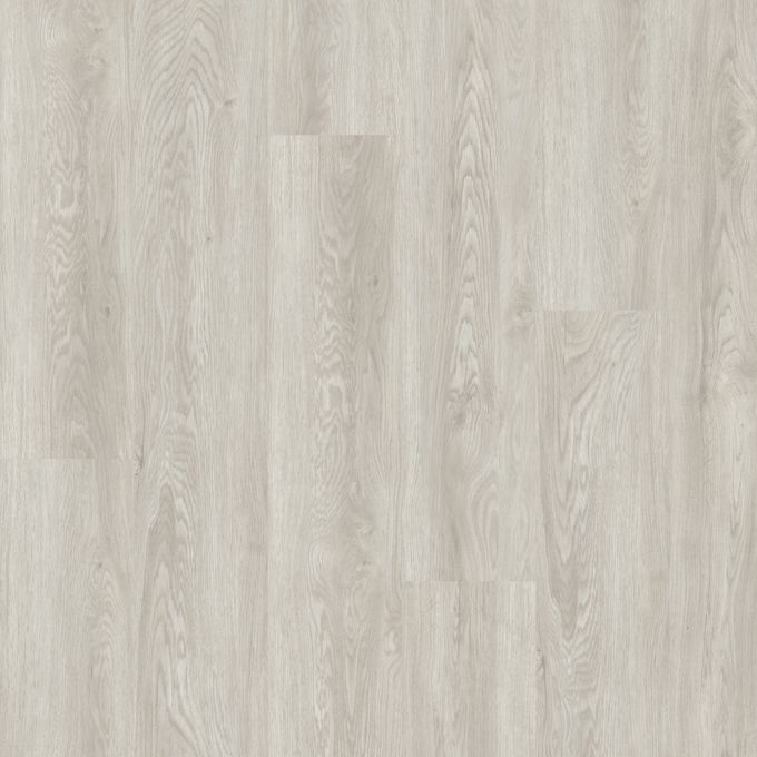 Clara Oak 3461