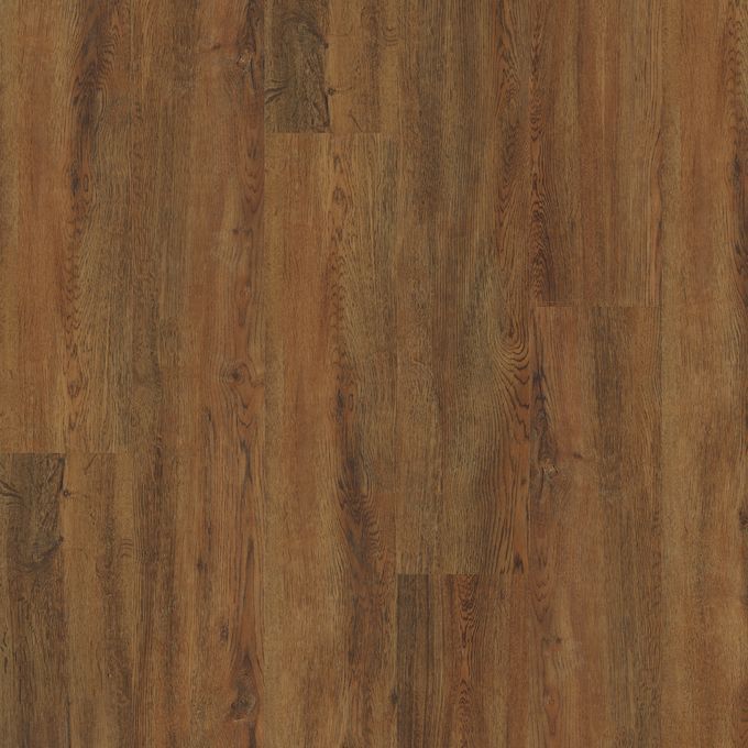 Rich Hazel Oak 9031