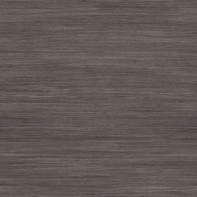 Raven 9866