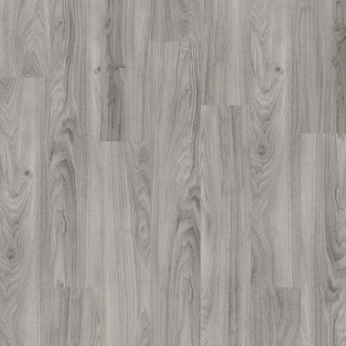 Grey Mountain Ash 3427